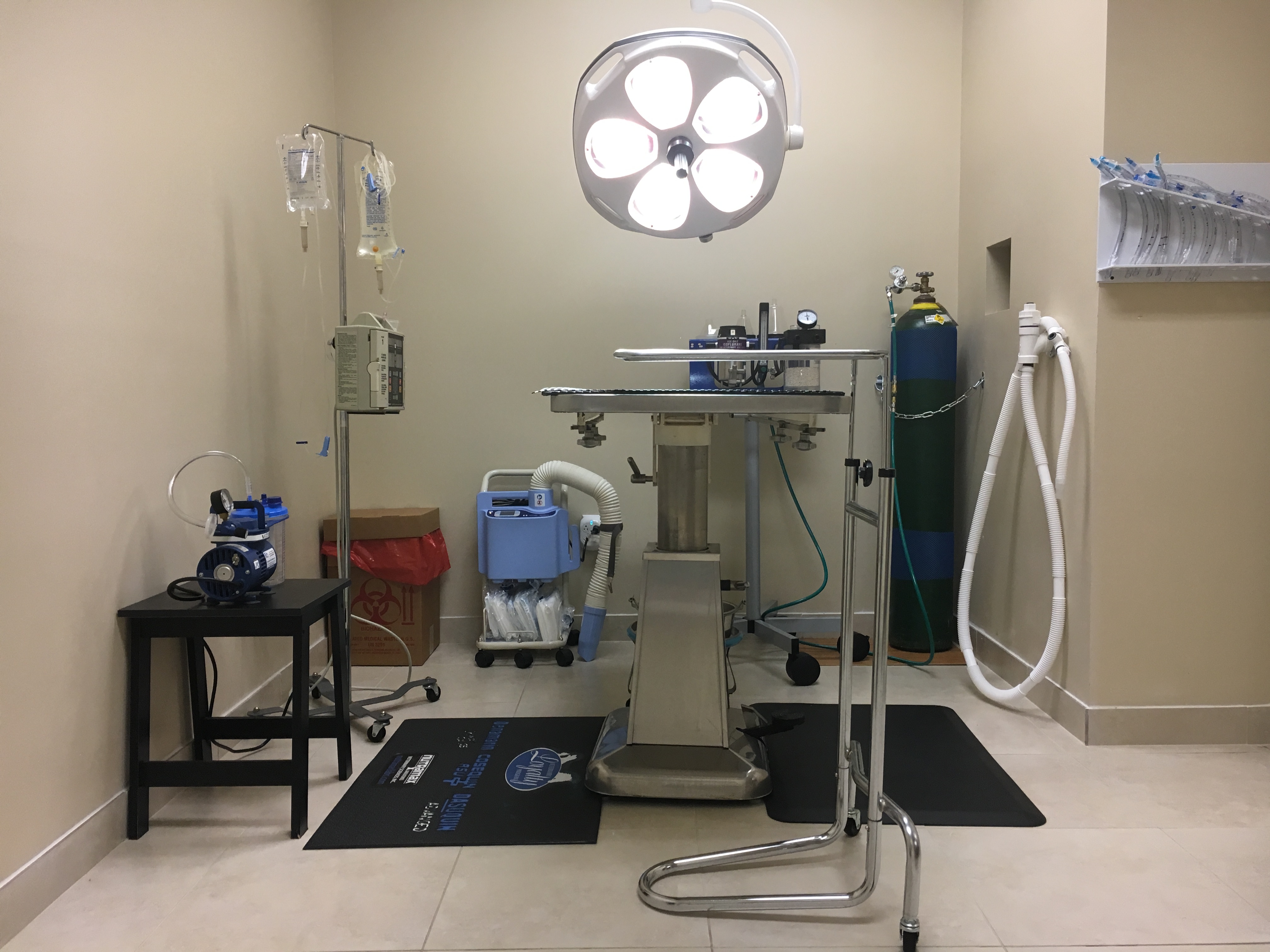 Animal Surgery Suite